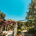 Florya Kumlubuek فندق