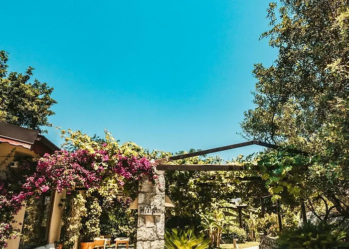 Florya Kumlubuek ホテル